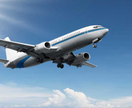 Flight