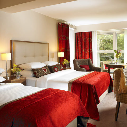 Hotel Room 1